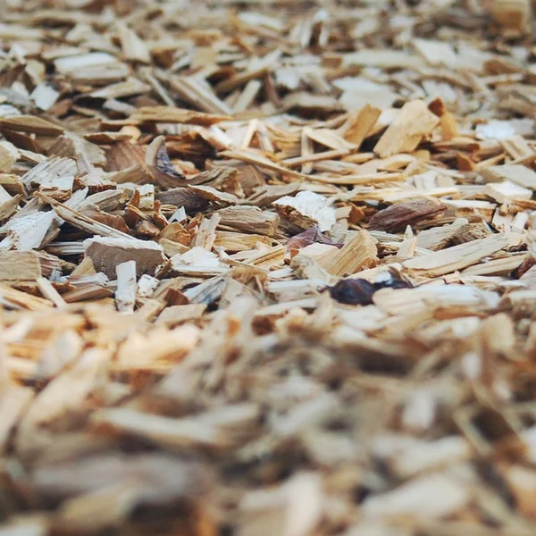 博彩论坛棋牌游戏